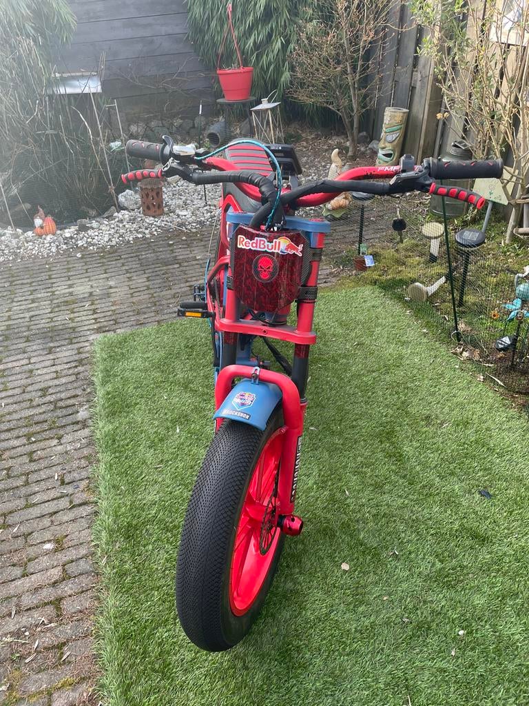 Fatbike custom made, Fietsen en Brommers, Elektrische fietsen, Gebruikt, Minder dan 47 cm, 50 km per accu of meer, Ophalen