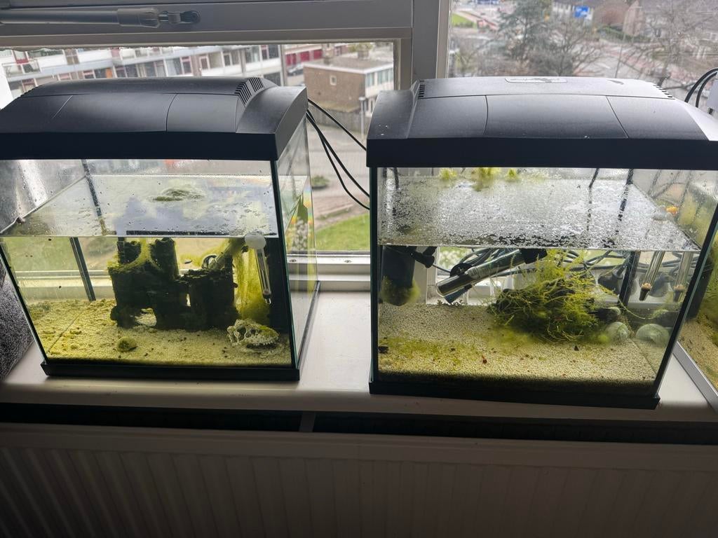 Aquarium superfish, Dieren en Toebehoren, Vissen | Aquaria en Toebehoren, Ophalen of Verzenden, Leeg aquarium