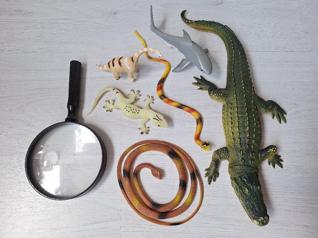 Set dieren met krokodil, slangen, dino, gekko en haai, Ophalen of Verzenden, Gebruikt