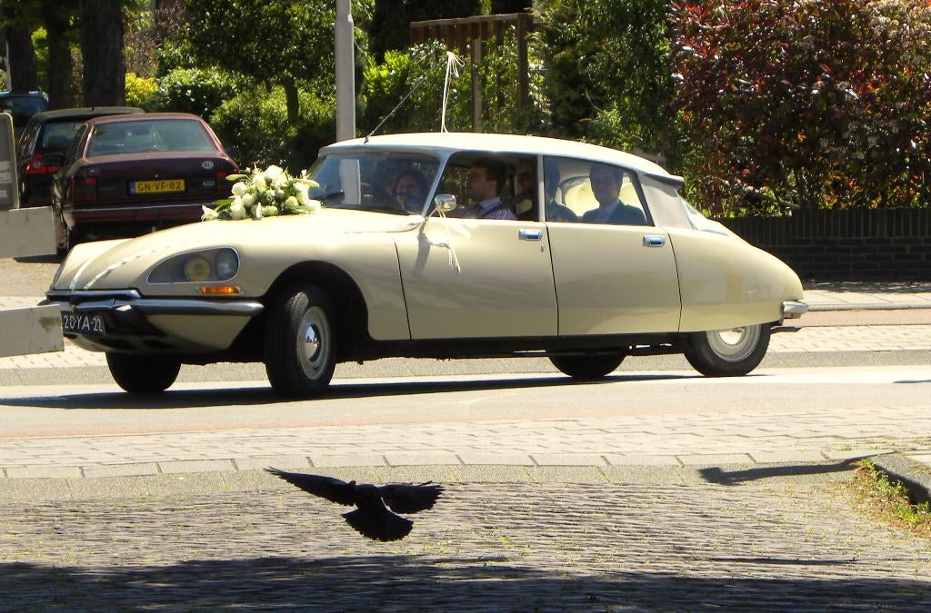 Citroën DS/DSpécial 1974_gerestaureerd, 2 eigenaren, Auto's, Citroën, Voorwielaandrijving, Stof, 4 cilinders, DS