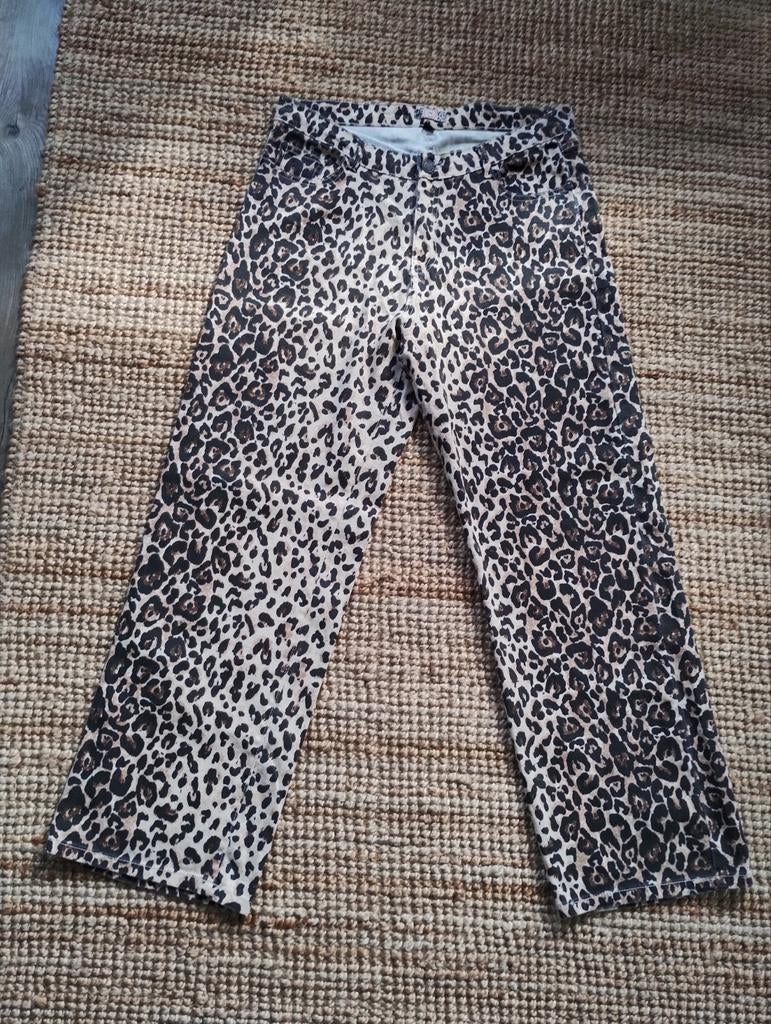 Hippe Broek Patty Brard, Maat 42/44 (L), Ophalen of Verzenden, Zo goed als nieuw, Lang