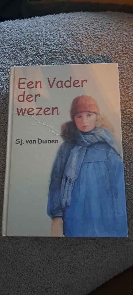 Sj. van Duinen - Een Vader der wezen, Boeken, Gelezen, Sj. van Duinen, Fictie algemeen, Verzenden