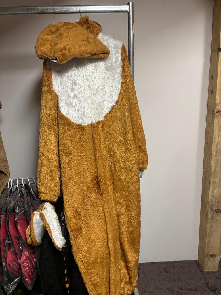 Carnavalskleding - Diverse Kostuums voor €10!, Kleding | Dames, Carnavalskleding en Feestkleding, Gedragen, Kleding, Carnaval