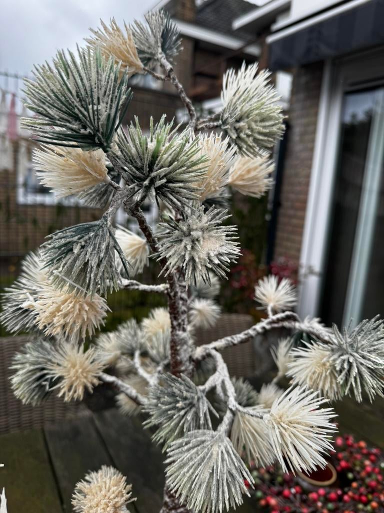 Boompjes (kunst) met lampjes., Ophalen