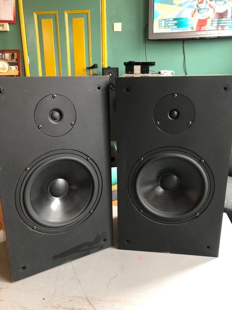 Audio Note AN-K/D Speakers - Uitstekende Staat, Audio, Tv en Foto, Overige merken, Gebruikt, Ophalen of Verzenden, 120 watt of meer