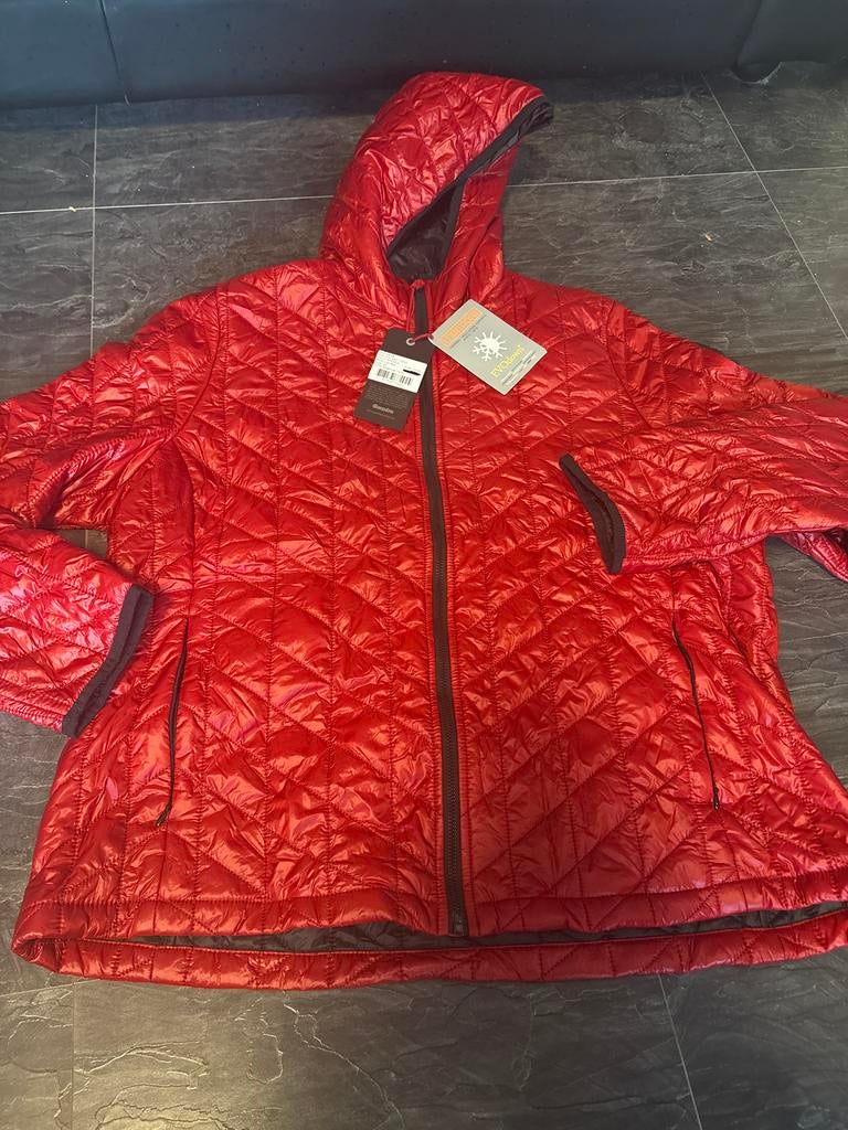 Gaastra Jas 3XL Nieuw - Perfect voor de winter!, Ophalen of Verzenden, Nieuw, Maat 46/48 (XL) of groter, Rood