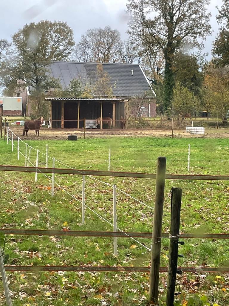 Container stal, 2.5 bij 6 meter, Dieren en Toebehoren, 2 of 3 paarden of pony's