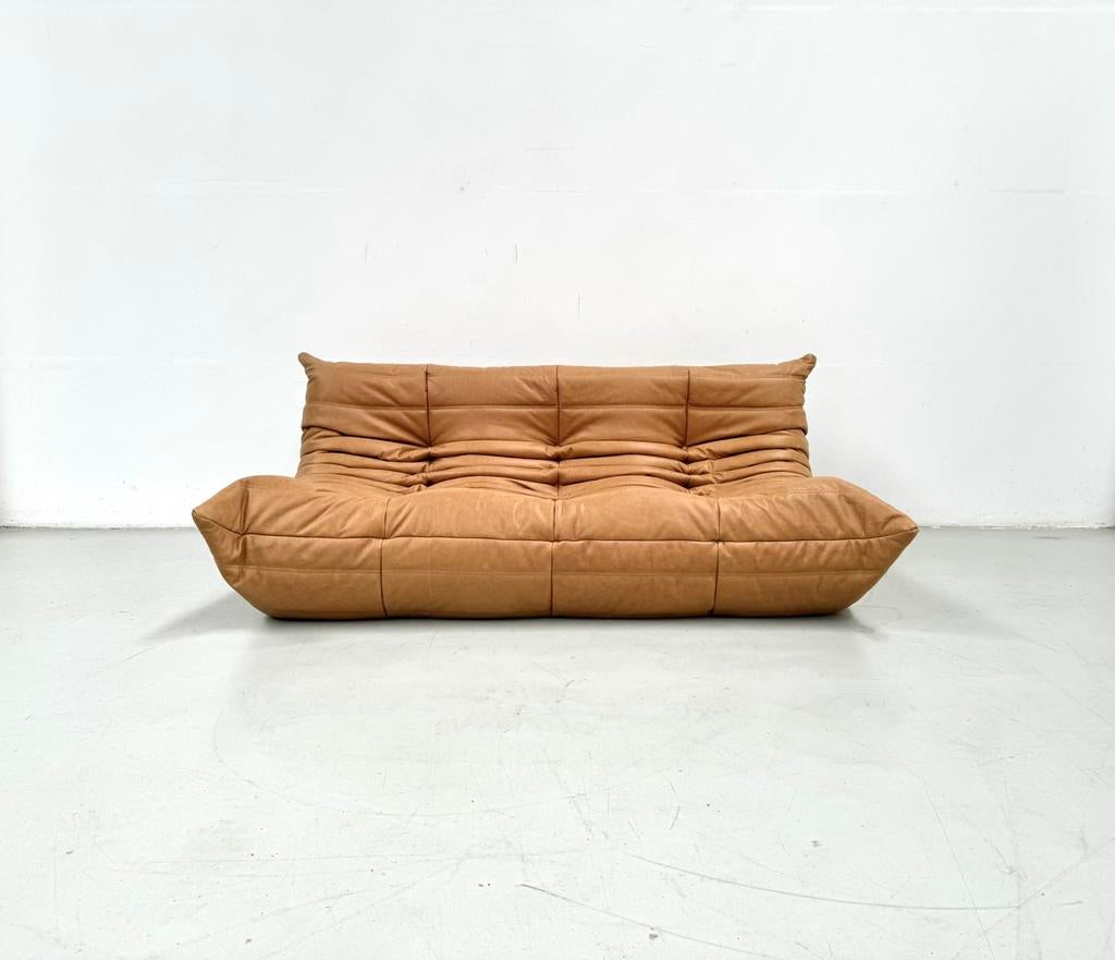 Togo Sofa in Camel attributed to Ducaroy for Ligne Roset., 150 tot 200 cm, Driepersoons, Zo goed als nieuw, Leer