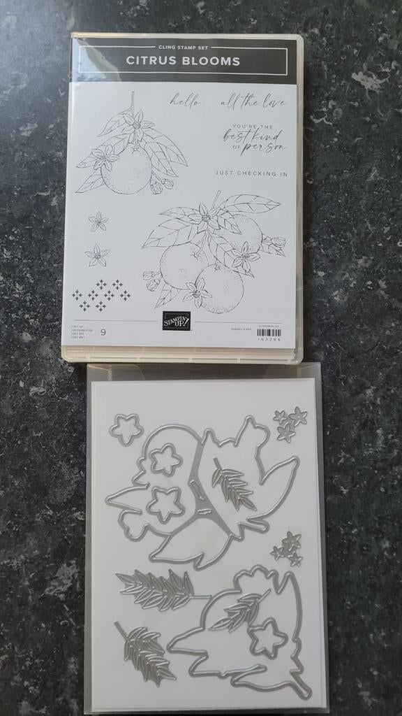 Stampin Up Citrus Blooms Stempelset + Stansen, Ophalen of Verzenden, Zo goed als nieuw, Overige typen, Overige merken