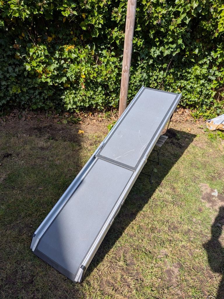 Loopplank voor auto, Ophalen, Hond