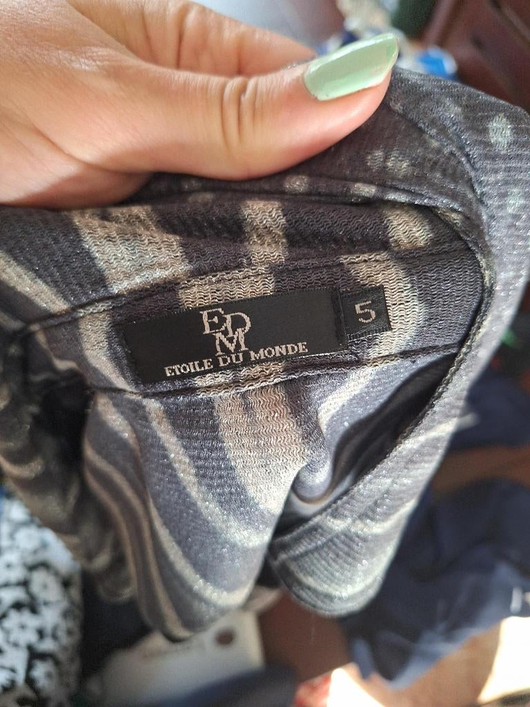 Etoile du monde grijs zilveren blouse mt 5 NL 44, Verzenden, Etoile du Monde, Maat 42/44 (L), Zo goed als nieuw