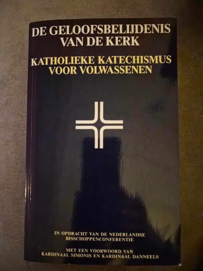 De Geloofsbelijdenis van de Kerk - Katholieke Katechismus, Boeken, Godsdienst en Theologie, Ophalen of Verzenden, Gelezen, Nederlandse Bisschoppenconferentie