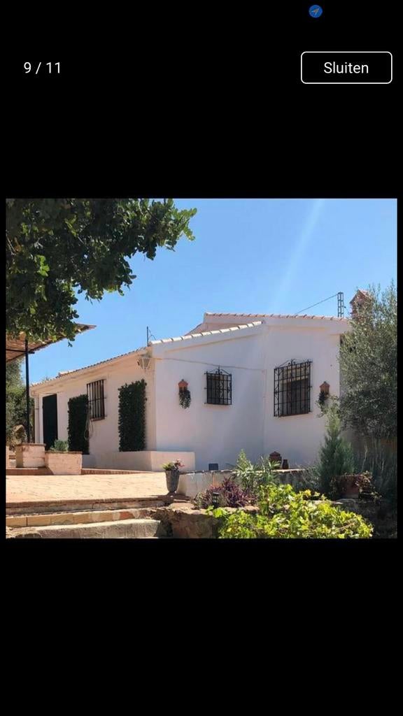 Te koop 100% biologische natuurlijke olijfolie, Ophalen of Verzenden