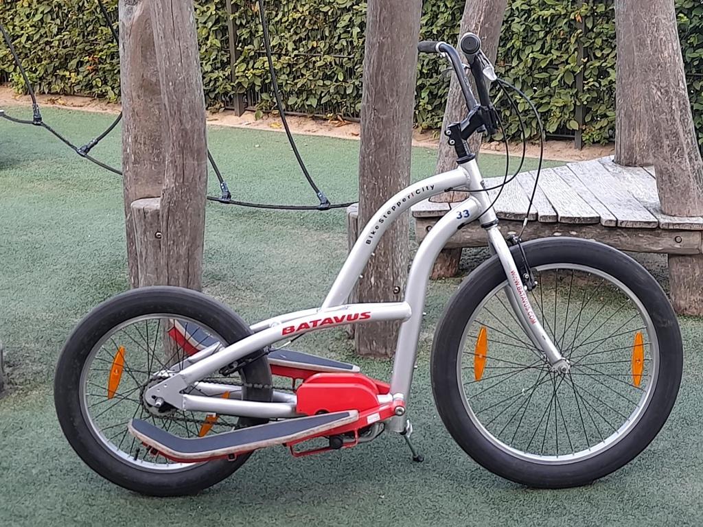 (00499) Bikestepper City, aangepaste 7 versnellingen., Ophalen