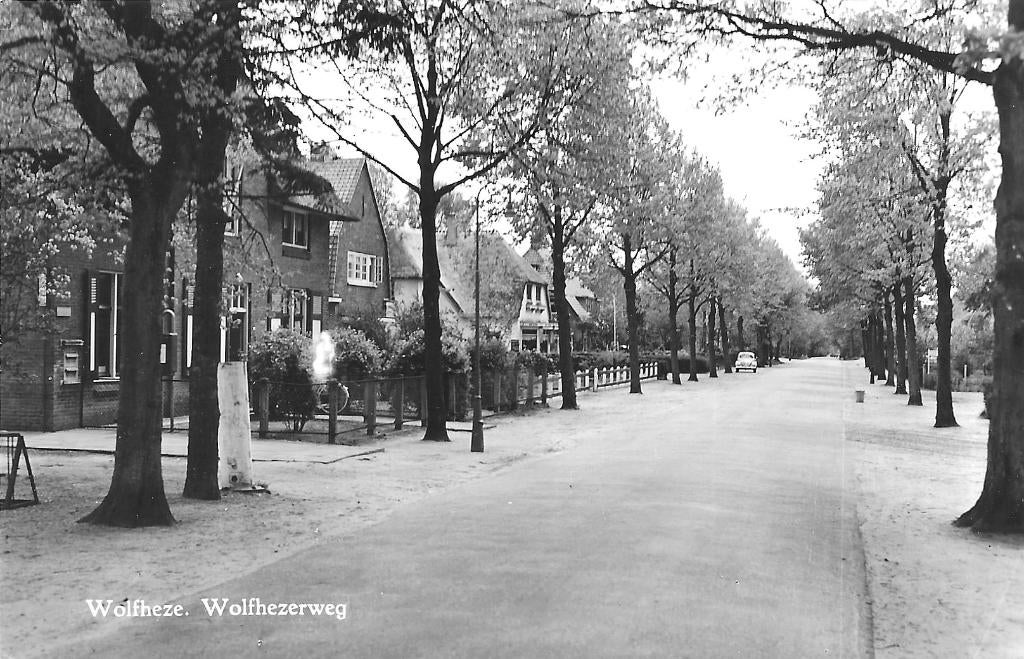 AK Wolfheze - Wolfhezerweg, Verzenden, 1940 tot 1960, Ongelopen, Gelderland