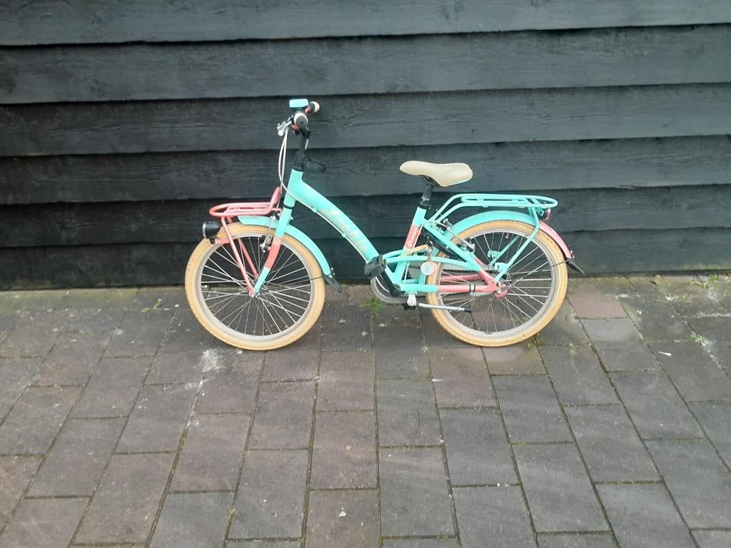 Loekie kinderfiets - Zeegroen/Roze, Ophalen of Verzenden, Gebruikt, 20 inch of meer, Loekie