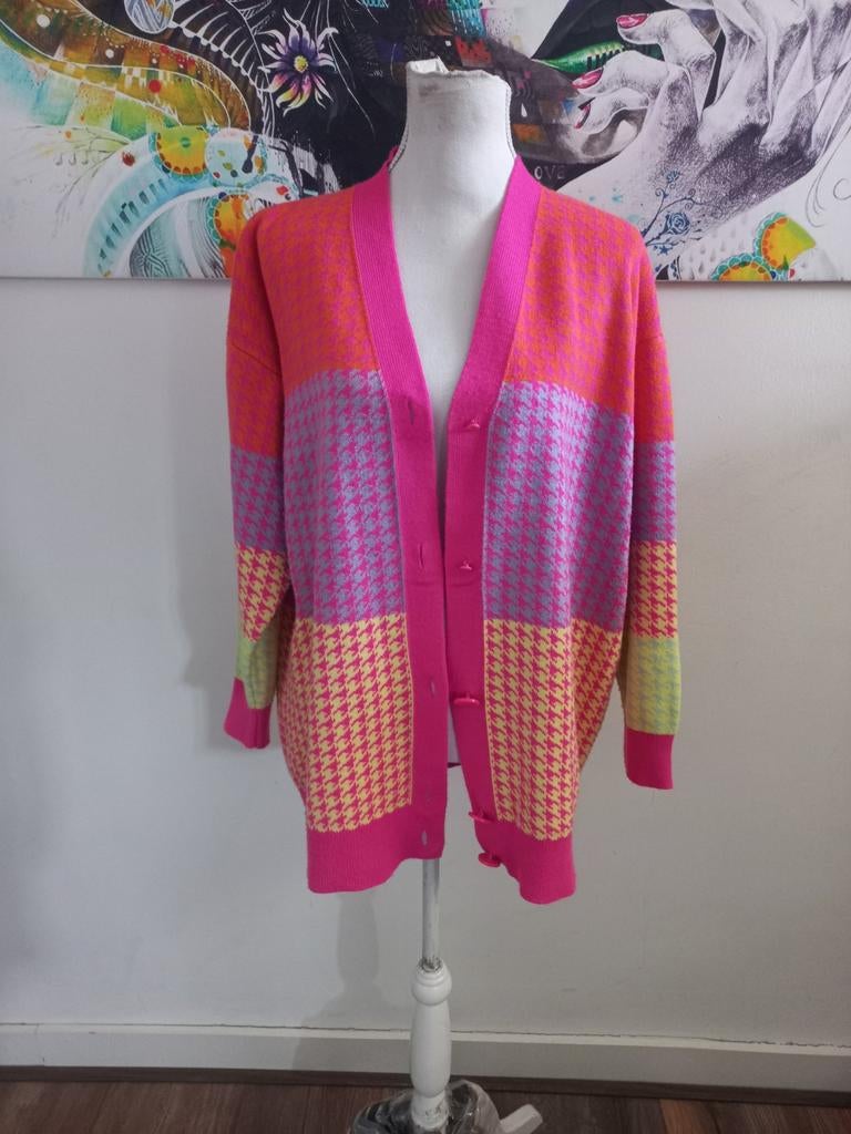 Vrolijk Ambika Vest One Size - Prachtig Kleurrijk Design, Overige kleuren, Maat 42/44 (L), Ophalen of Verzenden, Zo goed als nieuw