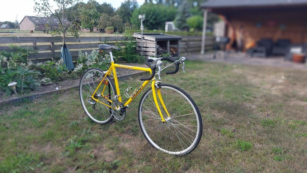 Giant Peloton 7000 53 cm vintage shimano zgan, Ophalen, 28 inch, Staal, Giant