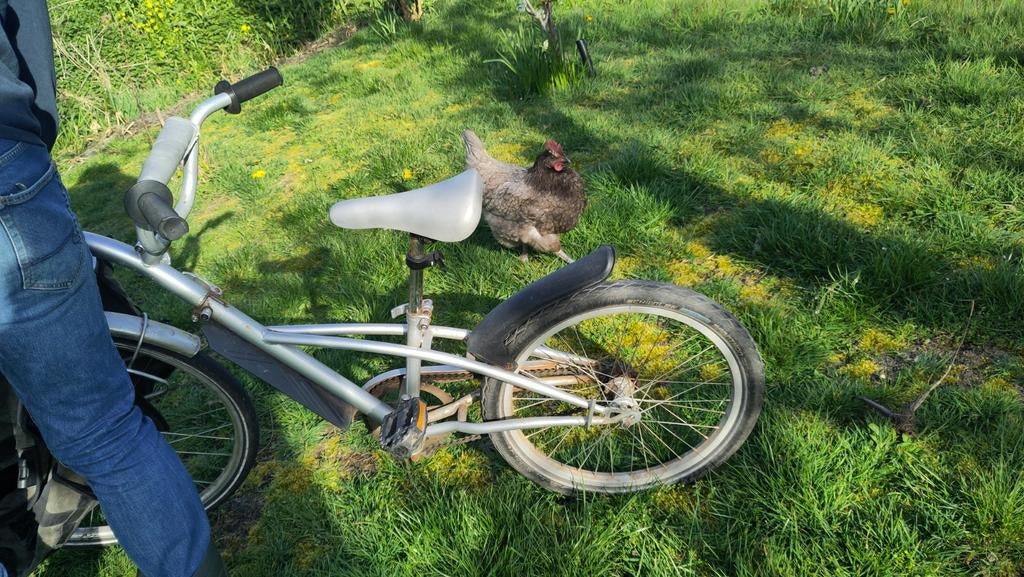 Aanhangfiets kind, Ophalen, Gebruikt, Aanhangfiets