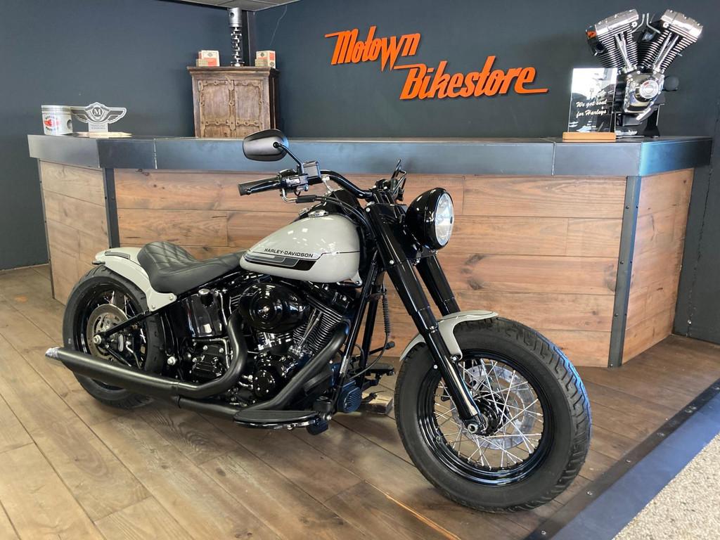 Harley Davidson FLS Softail Custom Special Paint Kreide Pors, 3700 W Juneau Ave
53208  Milwaukee, US, Info@harley-davidson.com