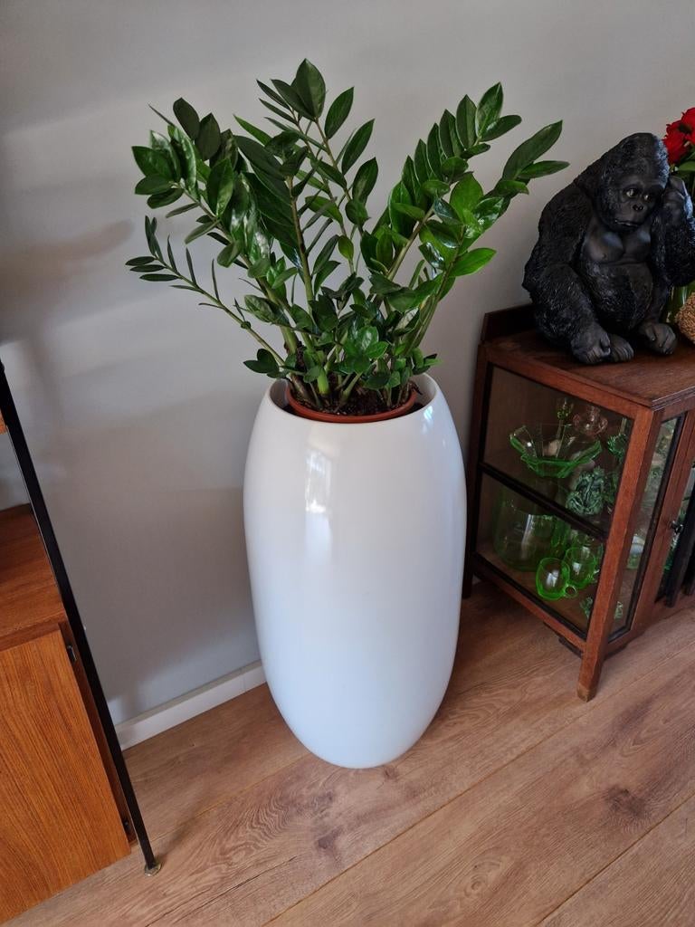Grote witte kunststof bloempot, Huis en Inrichting, Woonaccessoires | Vazen, Ophalen, Kunststof