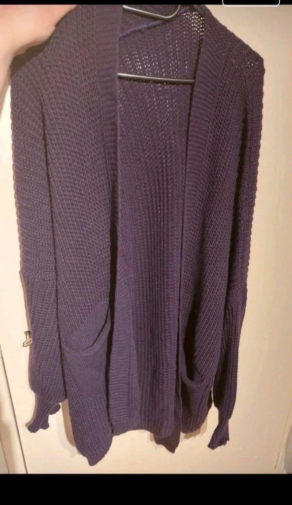 Paarse vest ( maat XXL ), Kleding | Dames, Ophalen of Verzenden, Zo goed als nieuw, Maat 42/44 (L), Paars