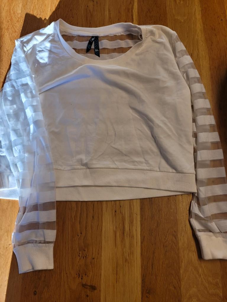 top maat XL, Kleding | Dames, Tops, Wit, Maat 42/44 (L), Nieuw, Ophalen of Verzenden