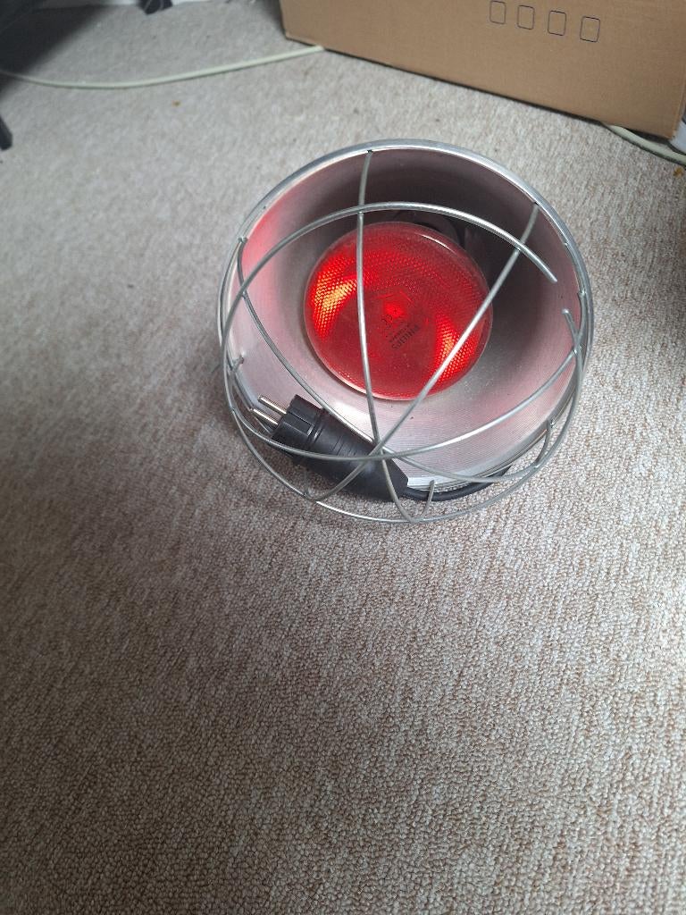 Warmte lamp, Ophalen, Zo goed als nieuw, Terrarium of Paludarium