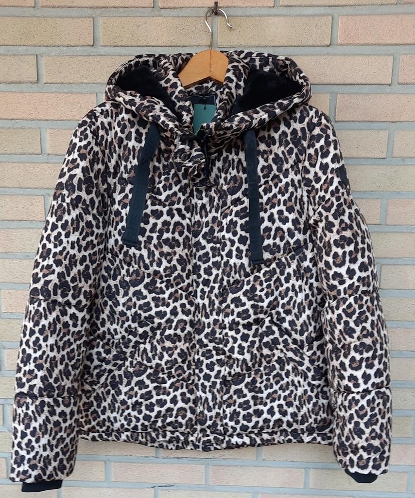 Nieuw Terstal jack met prijskaartje - Maat M, Maat 38/40 (M), Overige kleuren, Terstal, Nieuw