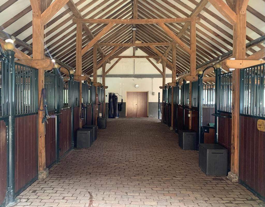 Stalling met weidegang aangeboden - De Steeg (gem. Rheden), Weidegang, 1 paard of pony