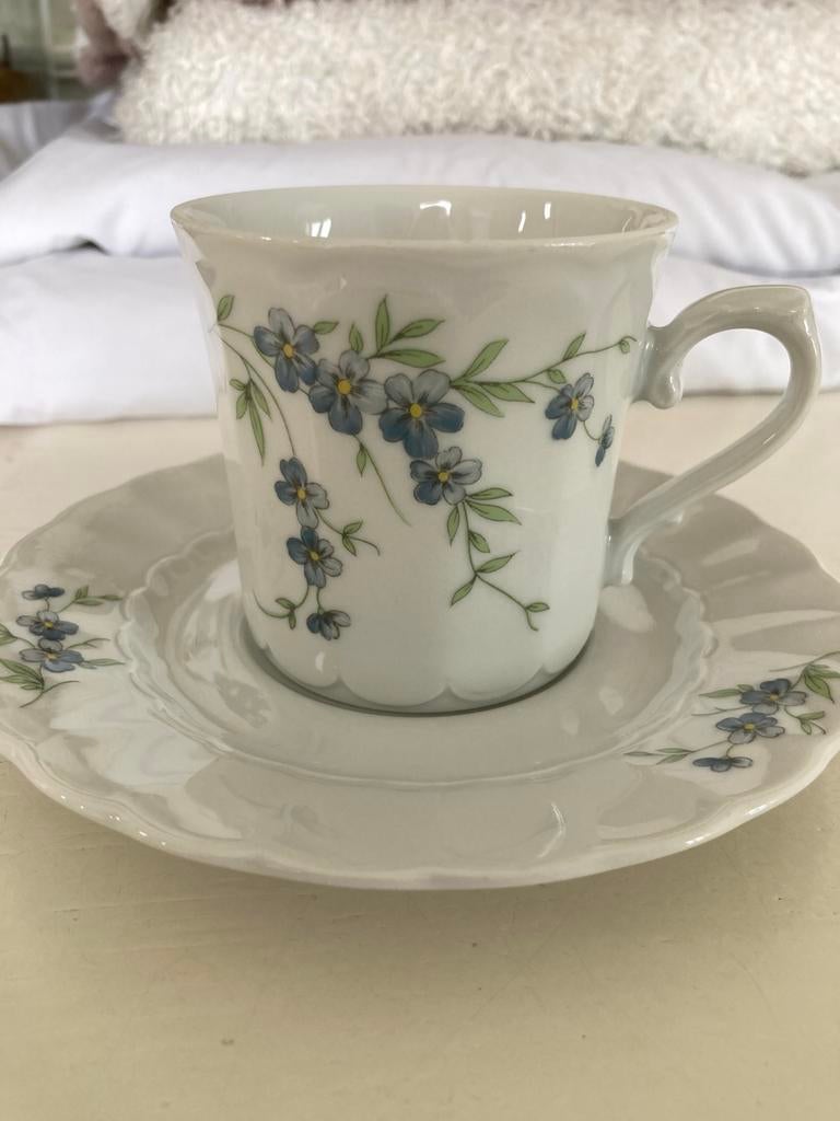 Eschenbach porceleinen kop en schotels., Ophalen