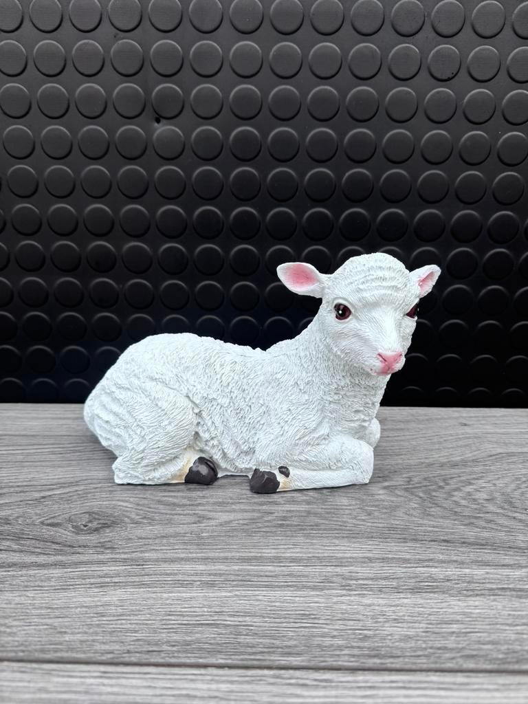 lammetje liggend 14hoog 20breed/Nieuw!, Verzamelen, Beelden en Beeldjes, Ophalen of Verzenden, Nieuw, Dier