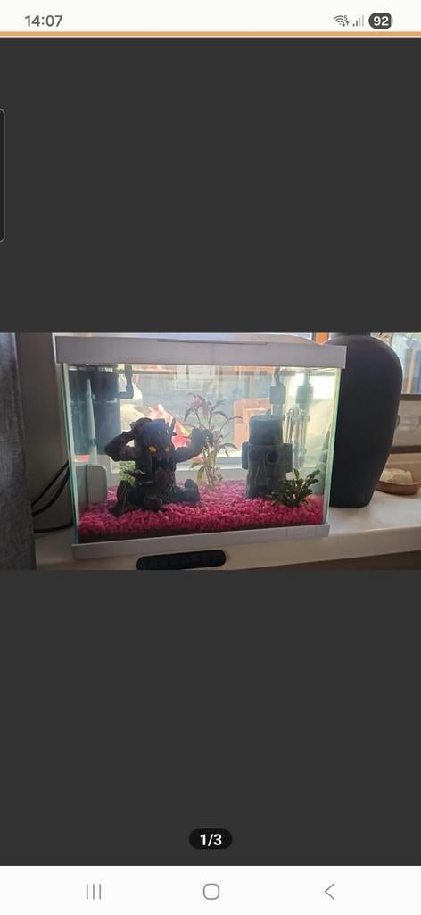 Superfish aqaurium inc veel spullen en guppen, Dieren en Toebehoren, Vissen | Aquaria en Toebehoren, Ophalen, Zo goed als nieuw