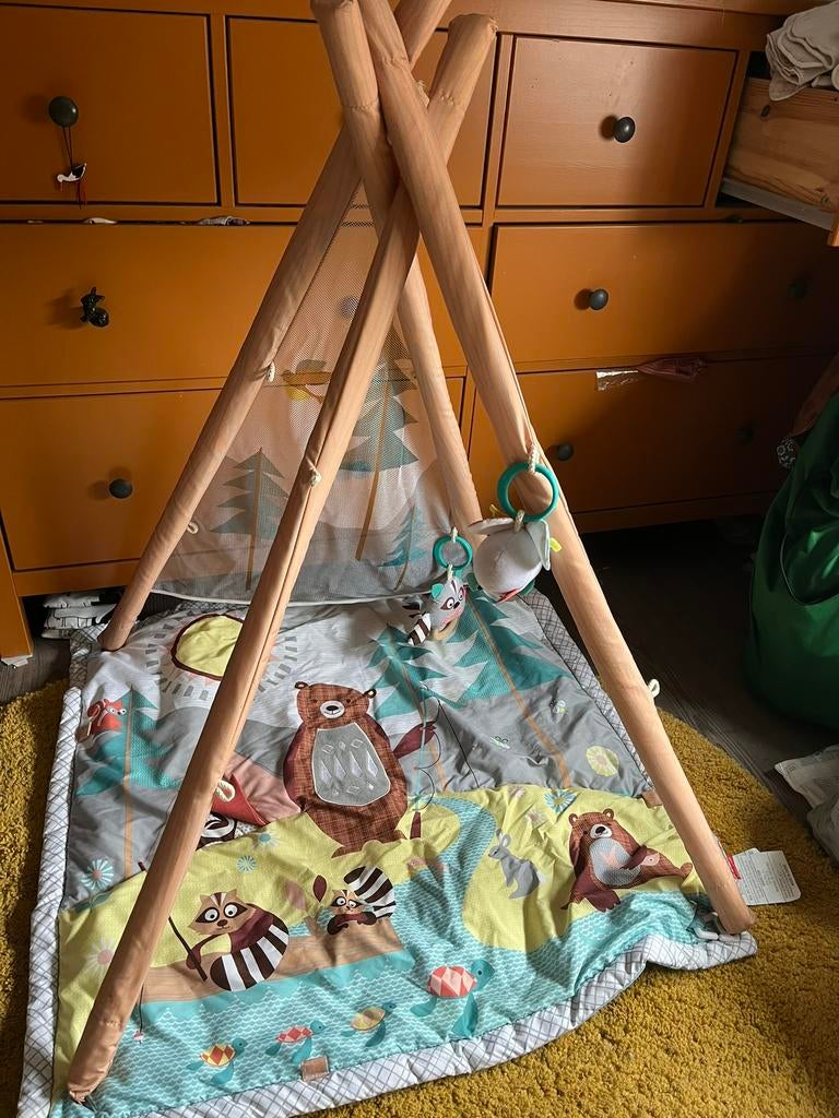 Skip Hop babygym Tipi dieren, Ophalen of Verzenden, Gebruikt, Babygym