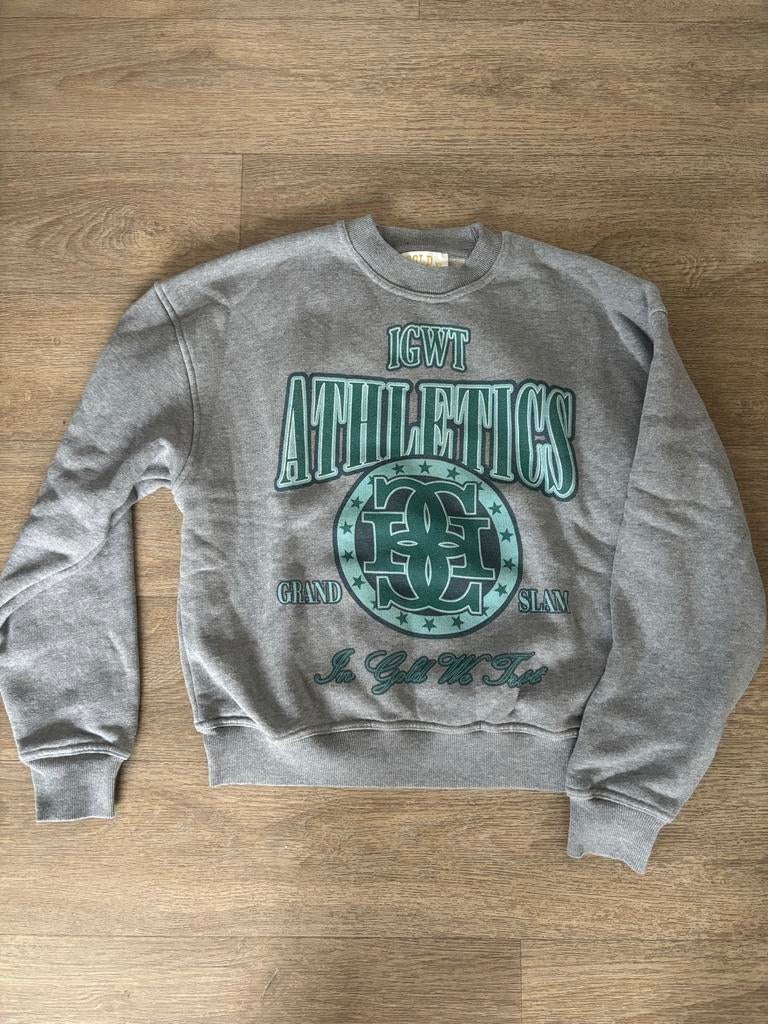 In Gold We Trust trui grijs, Kleding | Heren, Ophalen of Verzenden, Gedragen, Grijs