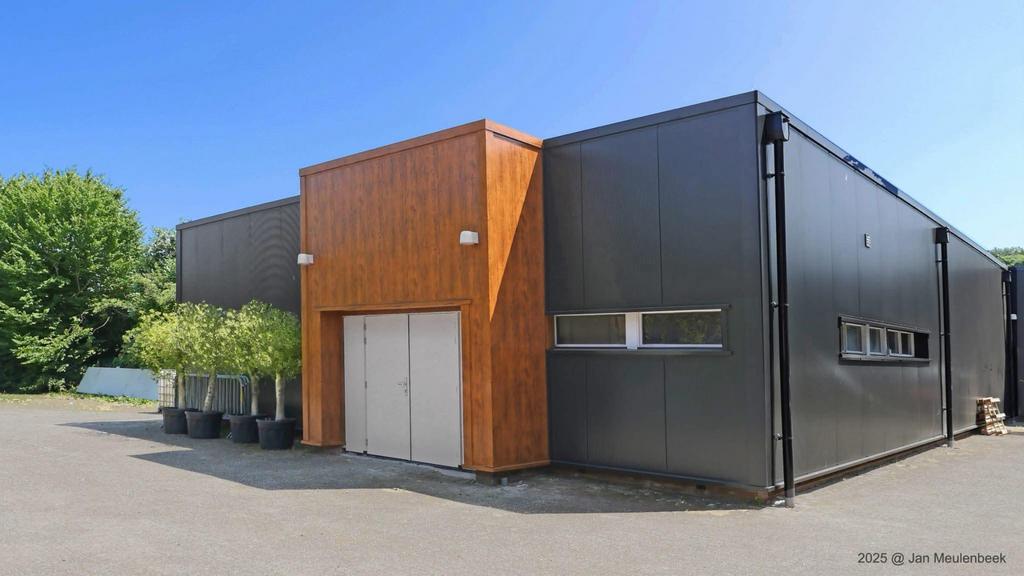 Olijfboom in pot, Volle zon, Vaste plant, Ophalen of Verzenden, Bloeit niet