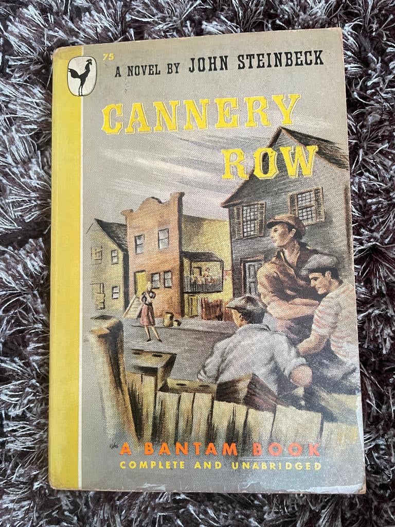 John Steinbeck - Cannery Row, Boeken, Ophalen of Verzenden, Gelezen, John Steinbeck, Fictie