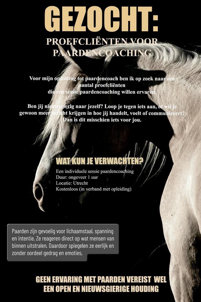 Paarden coaching - gratis, Ophalen of Verzenden