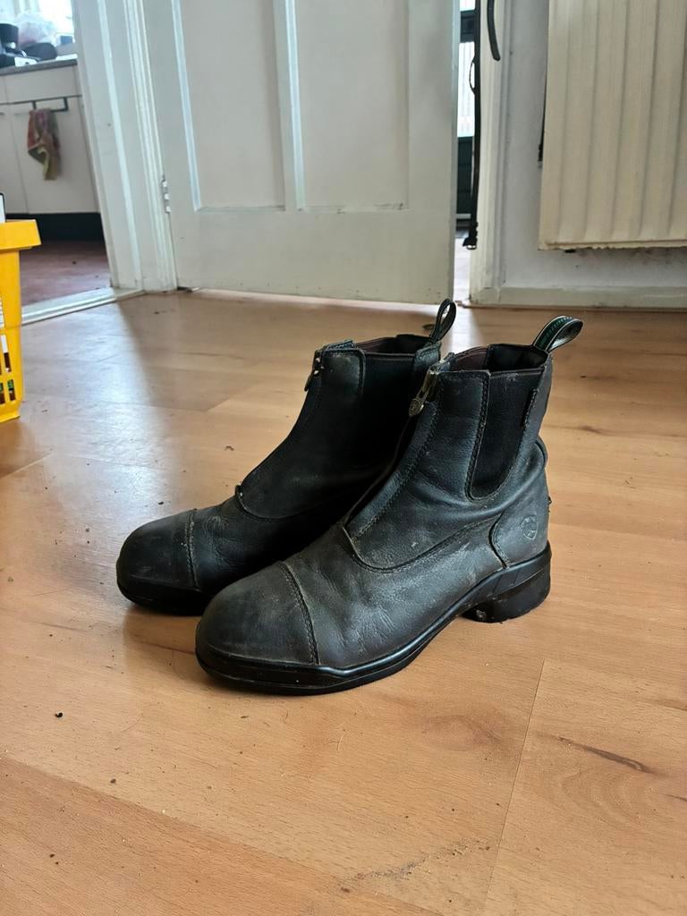 Ariat veiligheidsjodphurs maat 37, Dieren en Toebehoren, Paardrijkleding, Ophalen of Verzenden, Zo goed als nieuw, Schoeisel