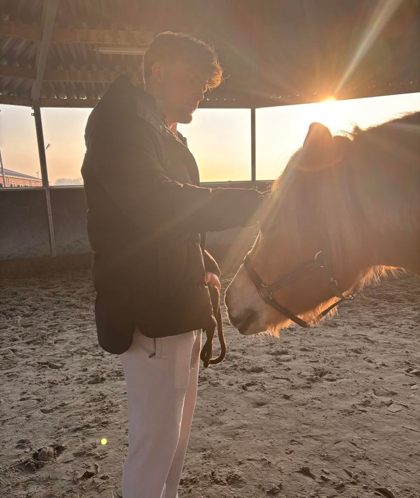 Paarden coaching, Ophalen of Verzenden, Zo goed als nieuw