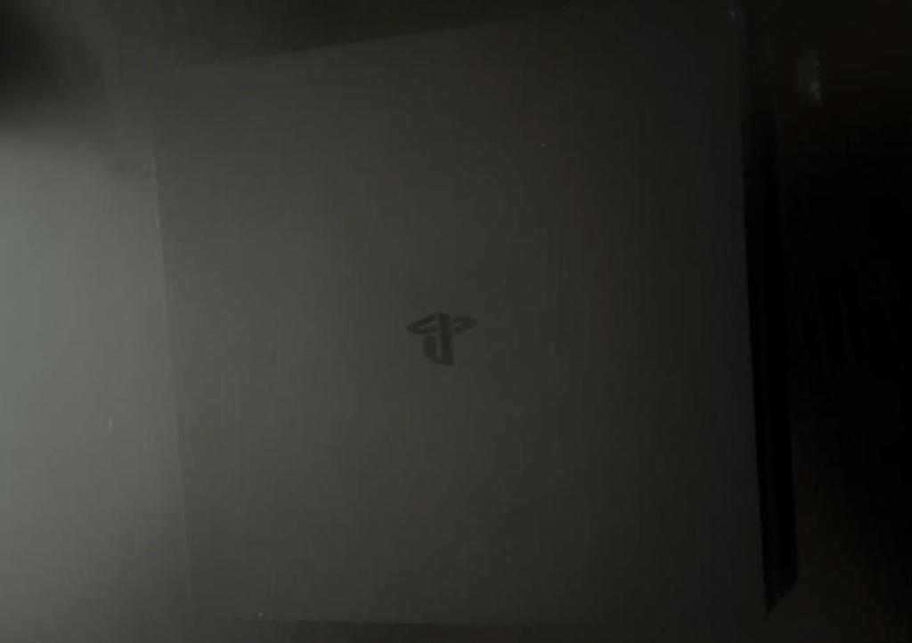 PlayStation 4 - Zonder Controller - Incl. Kabels, Ophalen of Verzenden, Gebruikt, Zonder controller, Original