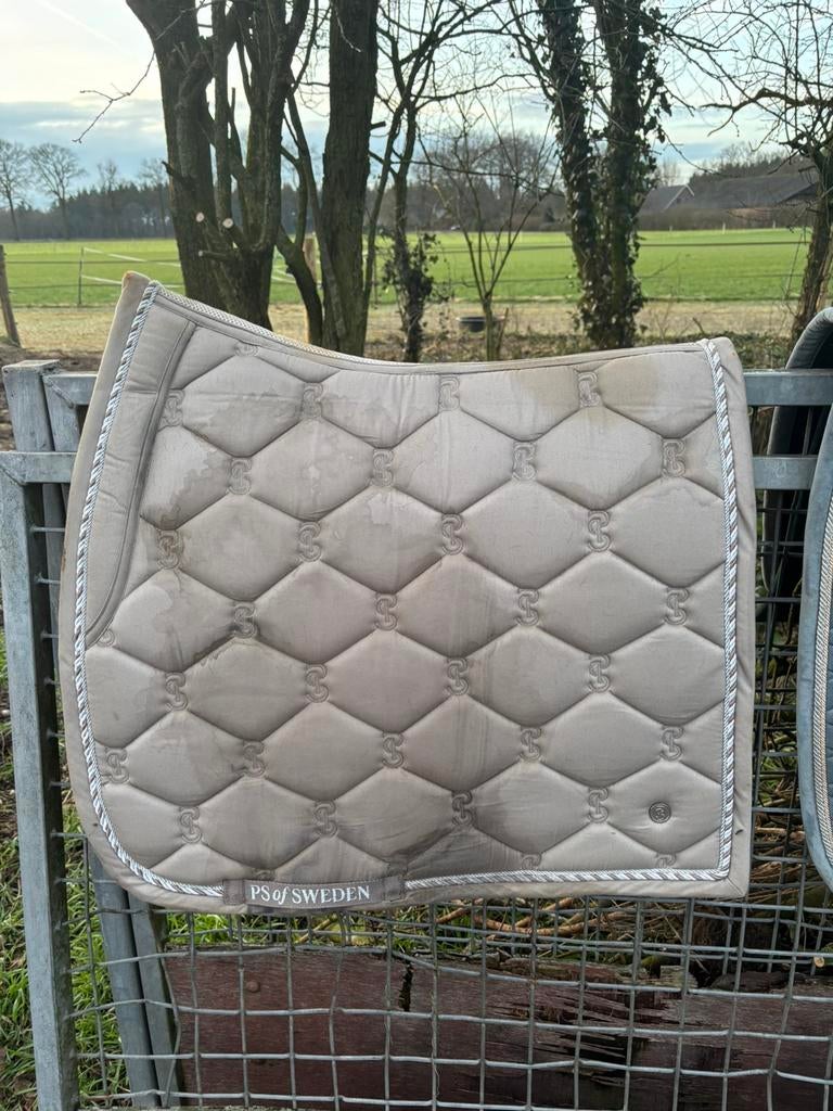 Dekjes kentucky en ps of sweden, Dieren en Toebehoren, Ophalen, Gebruikt