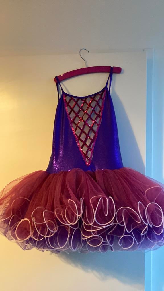 Ballet tutu met glitters, Ophalen of Verzenden, Zo goed als nieuw, Meisje