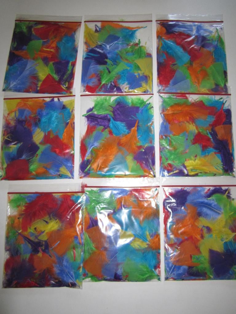 Zakjes gekleurde veren * Nieuw *., Ophalen of Verzenden, Nieuw