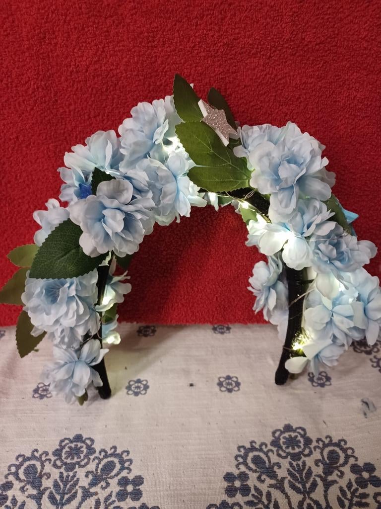 Diadeem, Ophalen of Verzenden, Zo goed als nieuw, Carnaval