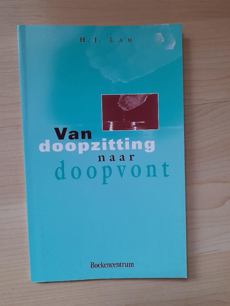 VAN DOOPZITTING NAAR DOOPVONT HJ Lam, Ophalen of Verzenden, Zo goed als nieuw