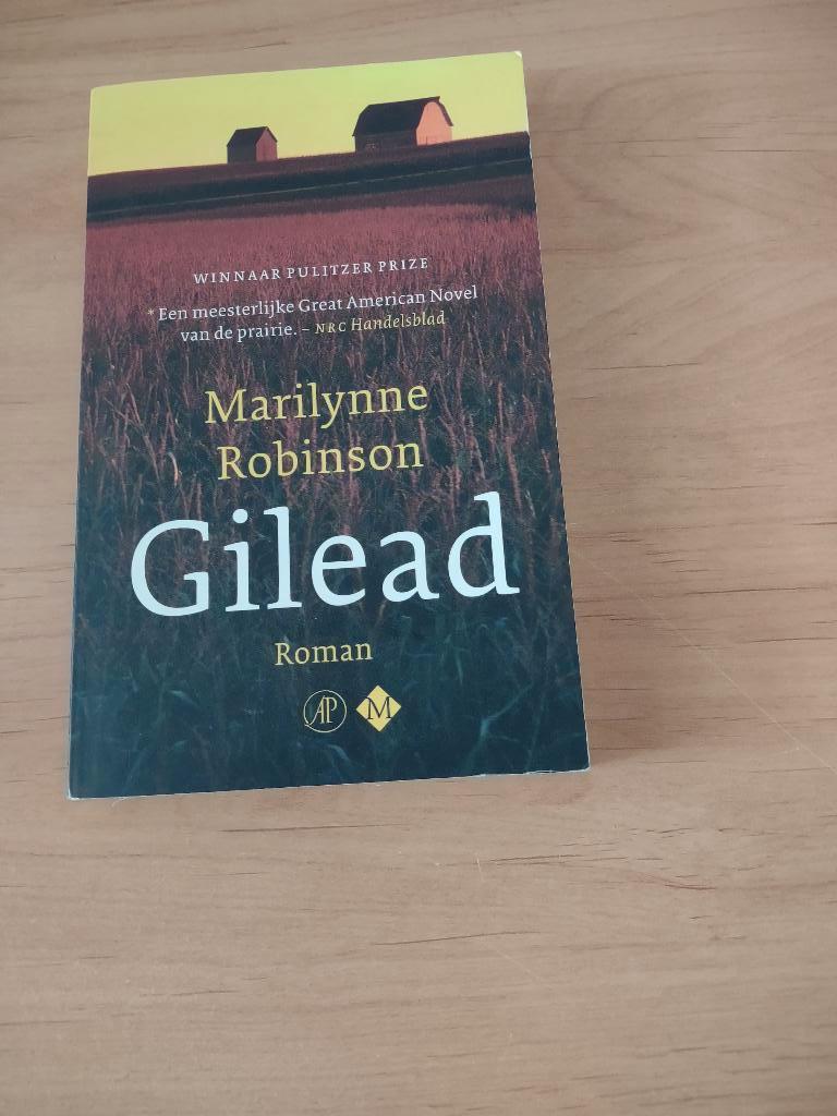 Gilead ea- Marilynne Robinson, Boeken, Romans, Ophalen of Verzenden, Gelezen