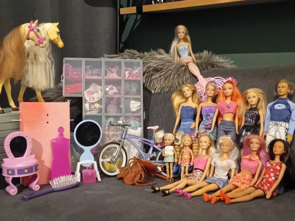 Grote partij barbie, Ophalen of Verzenden, Gebruikt