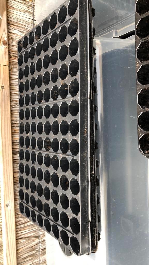 Zaaitray.  Verschillende maten, Tuin en Terras, Ophalen, Gebruikt