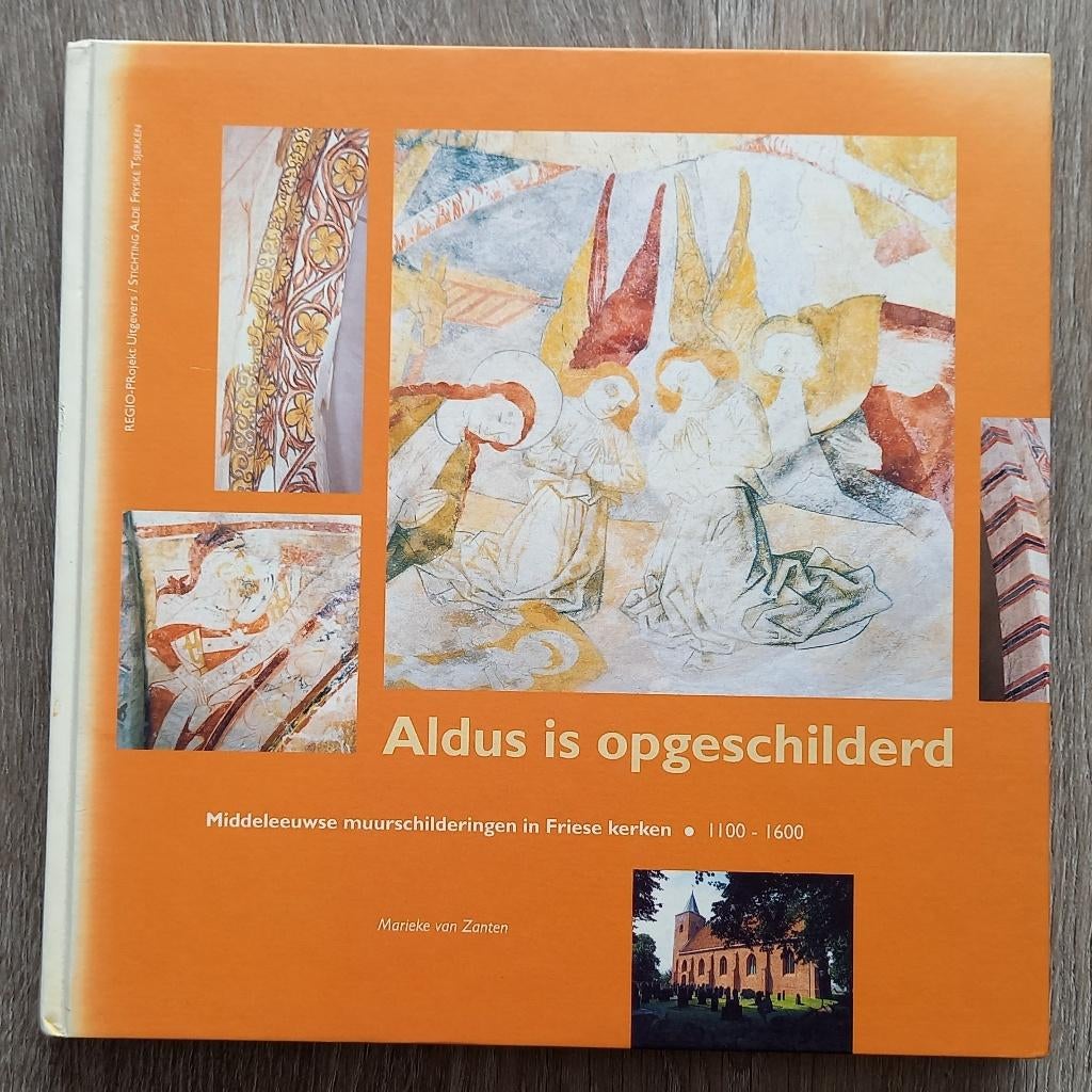 Middeleeuwse muurschilderingen in Friese kerken, Ophalen of Verzenden, Gelezen, Schilder- en Tekenkunst